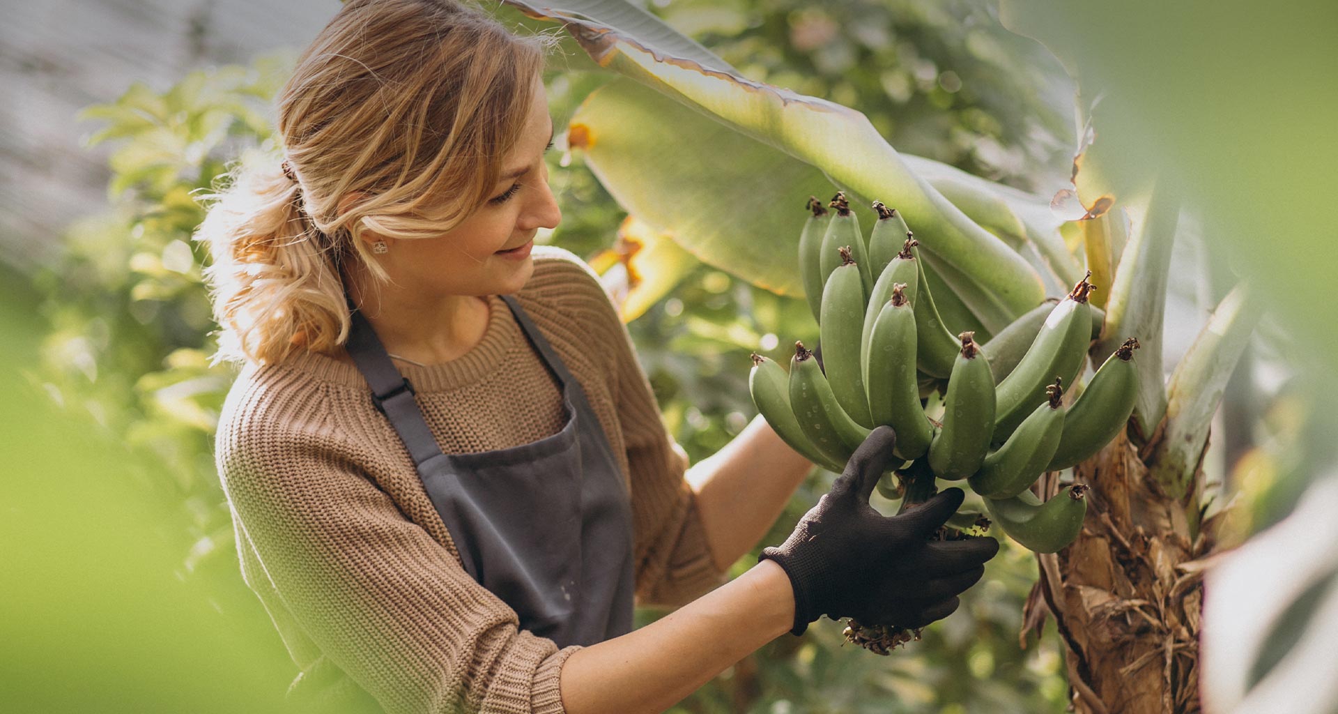 Woman Smiling and Holding a large bunch of Ecofood Bananas