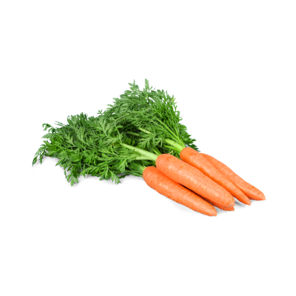 carrots raw