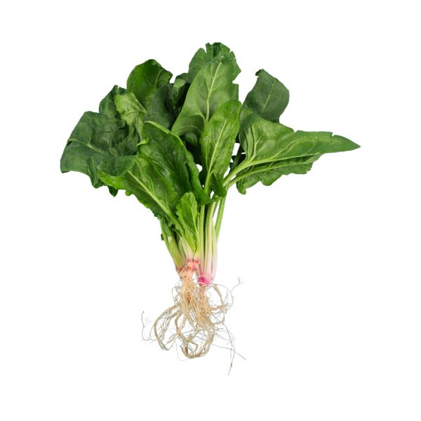 spinach raw