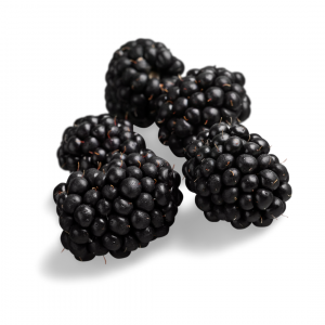 blackberries raw