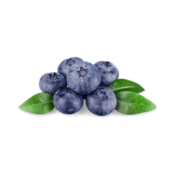 blueberries raw