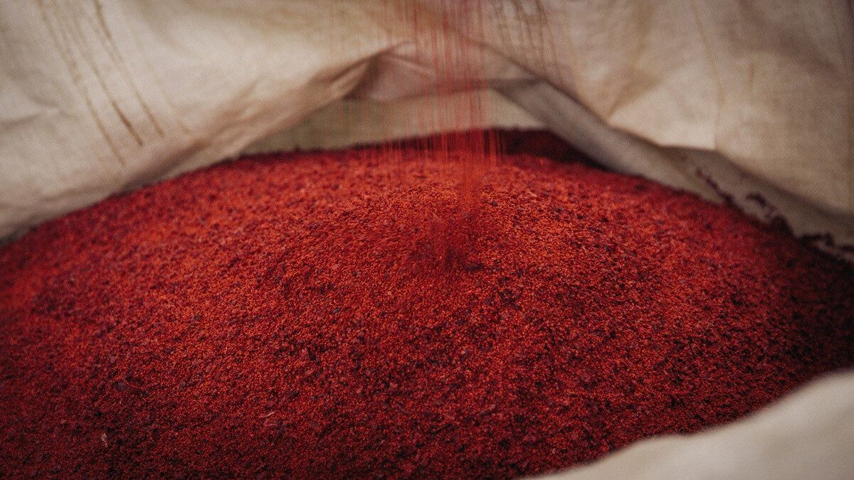 Commercial fruit powder production | North of 49 Naturals