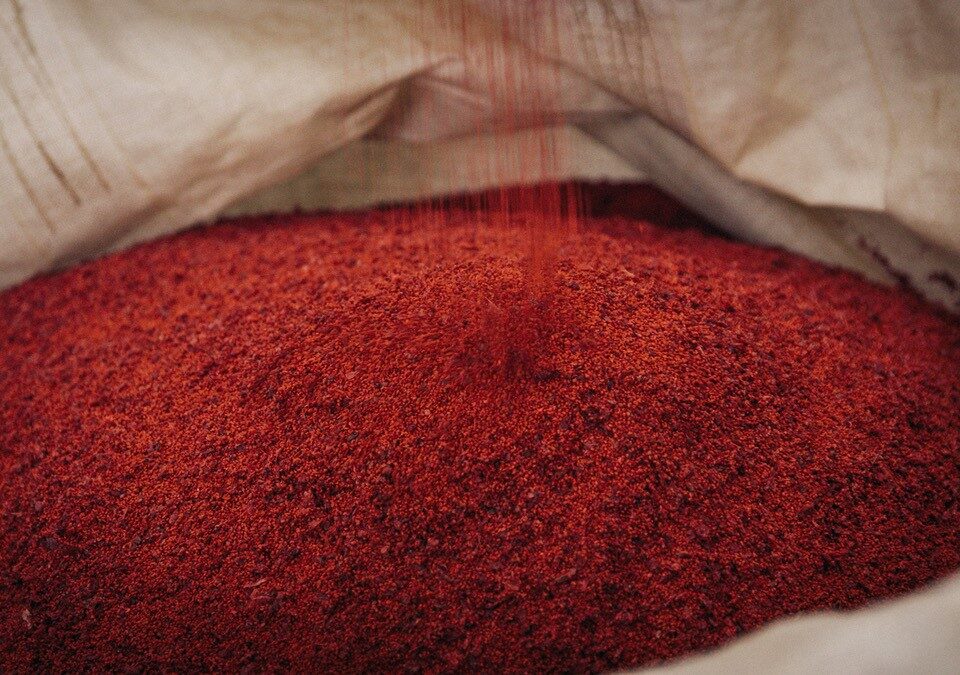 Commercial fruit powder production | North of 49 Naturals