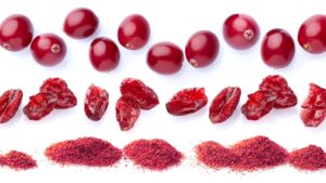 From Fruit to Powder: The Process of Cranberry Powder Production