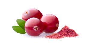 Exploring the Different Types of Cranberry Powder on the Market