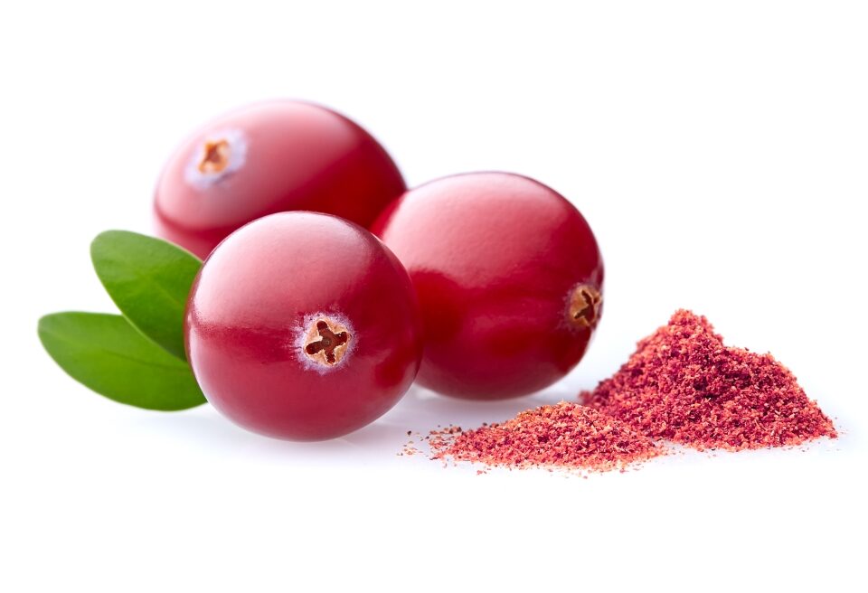 cranberry powder types