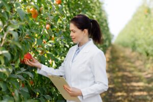 Fruit Powder Quality Control: Ensuring Safety and Consistency in B2B Supply Chains