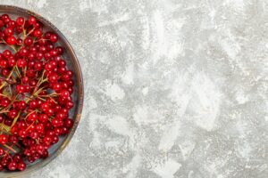 The Importance of Quality in Cranberry Powder Products