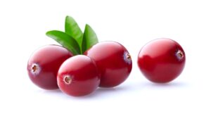 Buying in Bulk: The Advantages of Working with Cranberry Powder Wholesalers