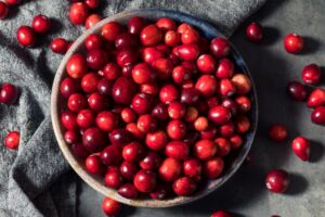 Finding the Right Cranberry Powder Supplier for Your Business