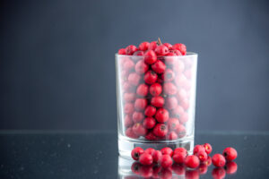 Understanding Cranberry Powder Pricing: Factors and Strategies for Businesses