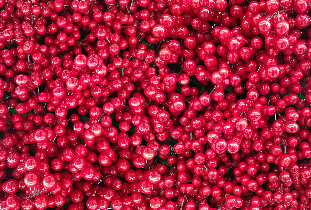 cranberry powder sourcing