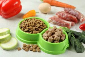 Nutritional Supplements Unveiled: The Power of Fruit Powders in Pet Diets