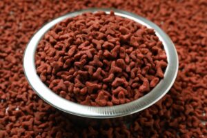 Optimizing Animal Feed: The Benefits of Incorporating Dried Fruit Powder in Bulk