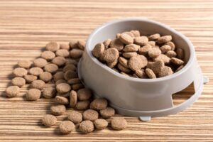 Canada’s Top Fruit Powder Suppliers Serving the Pet Food Industry