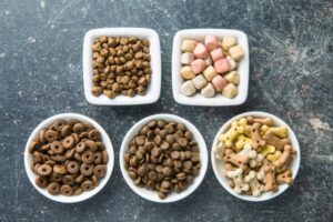 Customization in Focus: Unique Fruit Powder Options for Innovative Pet Products
