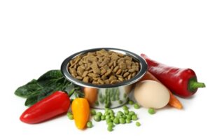 A B2B Guide to Wholesale Fruit Powder Additives for Producing Outstanding Pet Foods