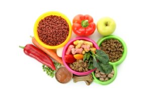 Harnessing the Power of Natural Pet Food Ingredients for Healthier Pets