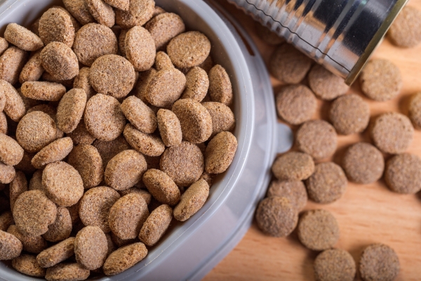 Organic powders enhancing high-protein dog food nutrition.