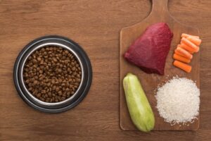 Grain-Free Pet Food: Enhancing Nutrition with Organic Fruit and Vegetable Powders