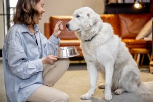 Navigating Cost-Effective Pet Nutrition: Solutions for Businesses